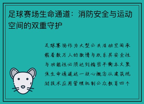 足球赛场生命通道：消防安全与运动空间的双重守护