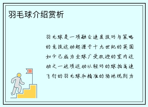 羽毛球介绍赏析