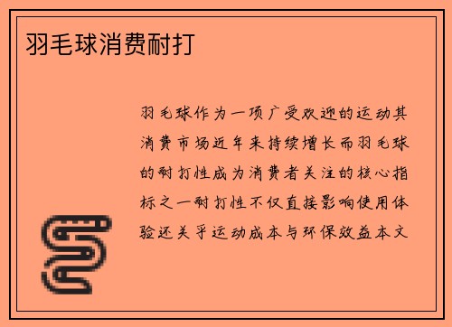 羽毛球消费耐打