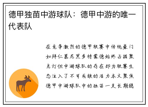 德甲独苗中游球队：德甲中游的唯一代表队